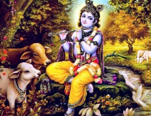 <p>Ortadoğu dinlerinde peygamber Tanrı tarafından seçilir. Hinduizm’de ise bu olgu kazanılır. Birçok kere enkarne olmuş ve karmasını temizlemiş olan olgun ruh vahiy yolu ile Tanrı ile iletişime geçebilir. Dinsel bayramlar, haç, kutsal ilahiler ve evlerde tapınak uygulanan geleneklerdendir. </p>

<p> </p>
