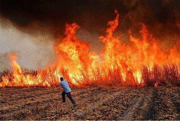 <p>Meksika'nın güneyinde çiftçiler bir hasat uygulaması olarak şeker kamışlarının yaprak kısımlarını yakıyorlar.</p>

<p> </p>
