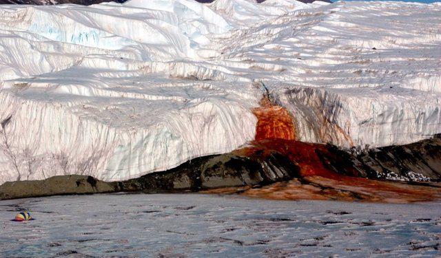 <p>Antratika'daki kan ağlayan şelaleler<br />
Bu kan kırmızısı şelale -10°C derecede bile donmuyor. </p>