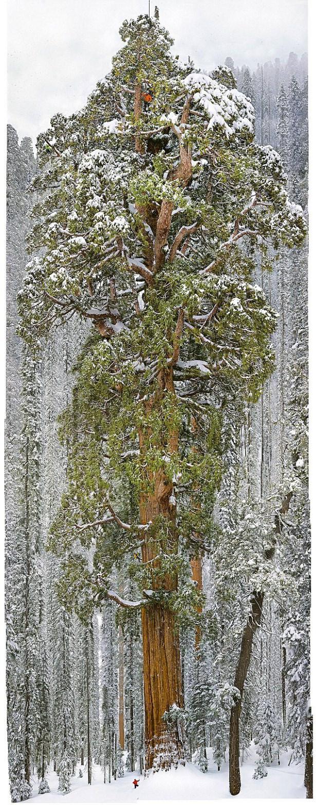 <p>Ve işte 126 farklı fotoğrafın birleştirilmesiyle oluşan son fotoğraf!</p>

<p> </p>
