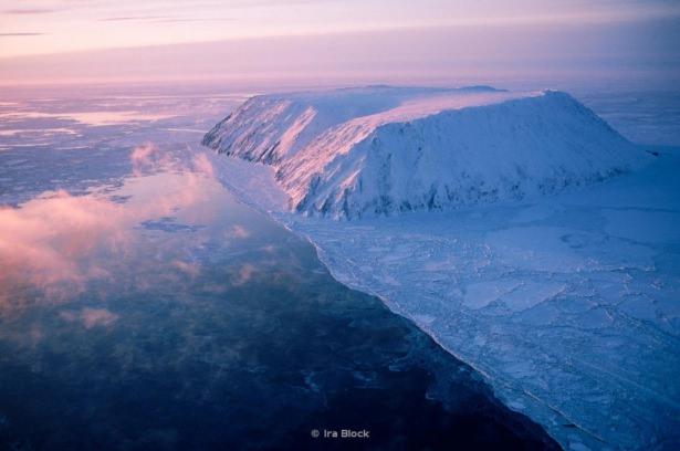 <p>Rusya - ABD</p>

