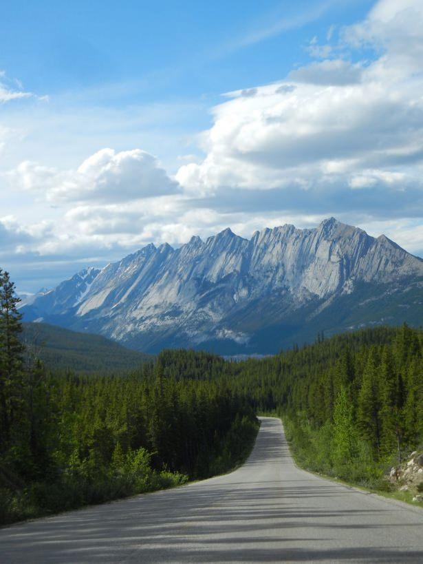 <p>Jasper Ulusal Park yolu - Kanada</p>
