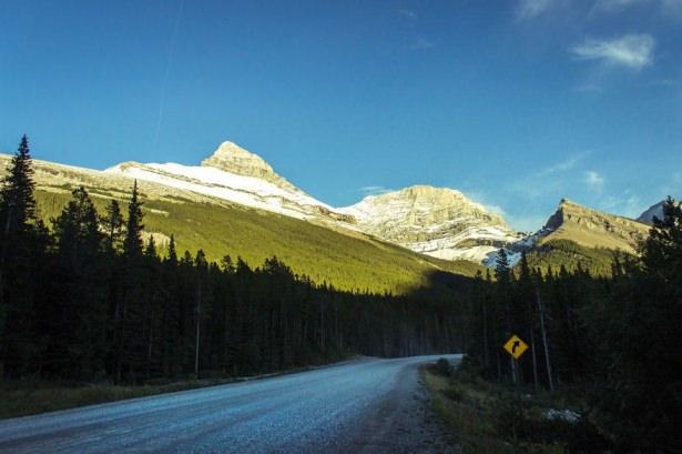 <p>Kananaskis park yolu - Kanada</p>
