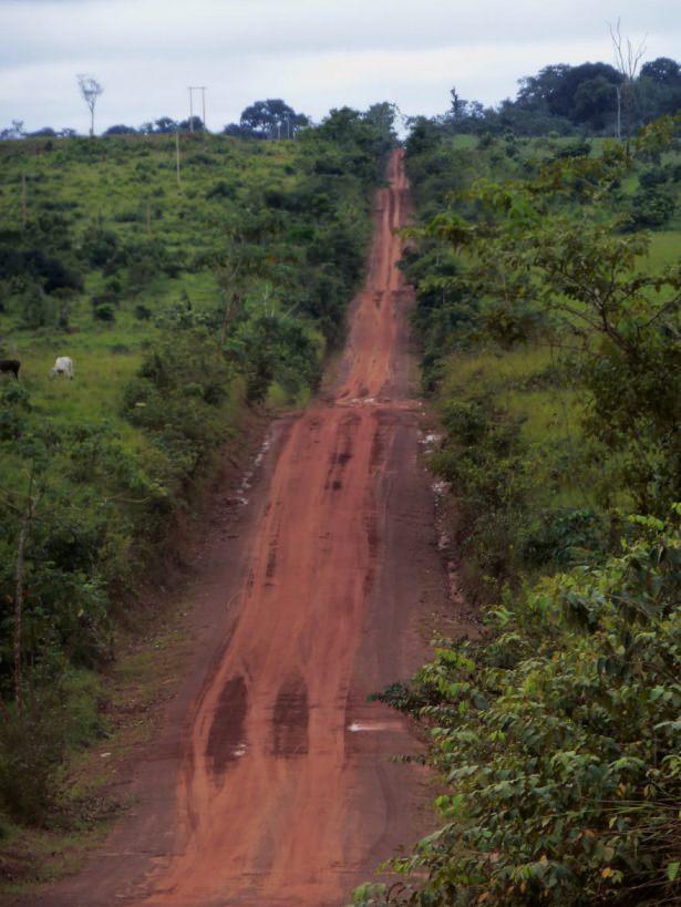 <p>Amazon yolu - Bolivya</p>
