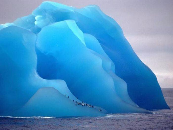 <p>Penguenler buzun üzerindeyken</p>
