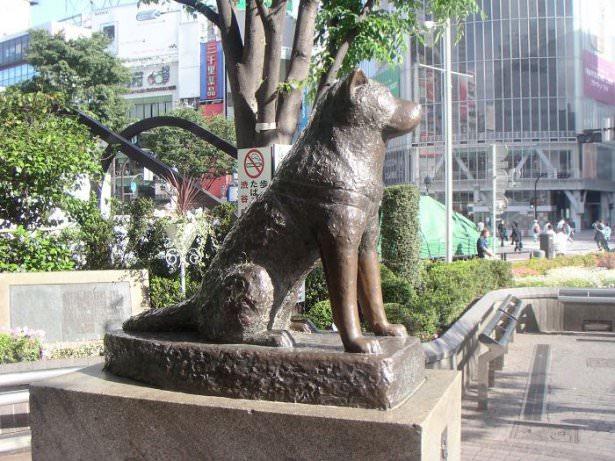 <p>En sadık köpek heykeli - Tokyo Japonya</p>
