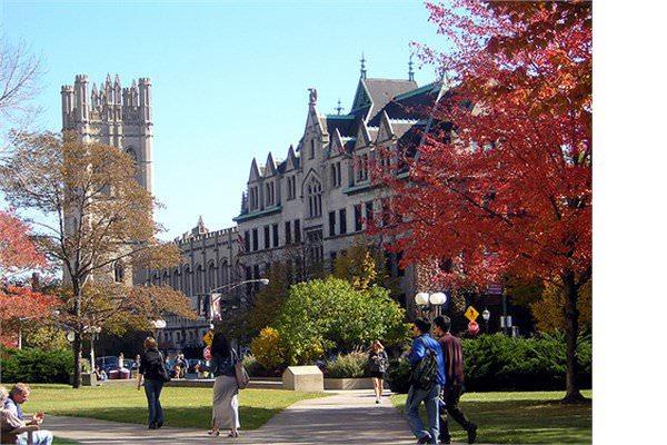 <p>8- Chicago Üniversitesi (ABD)</p>