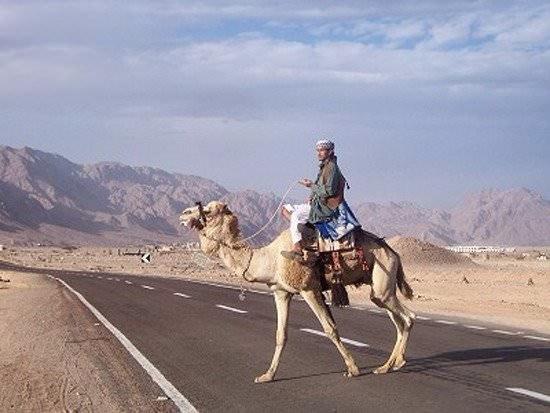 <p>Luksor-El Hurhada Yolu<br />
Mısır’ın iki turizm merkezini, Luksor’u El Hurhada’ya bağlayan yol dünyanın en tehlikeli yollarından biri.</p>
