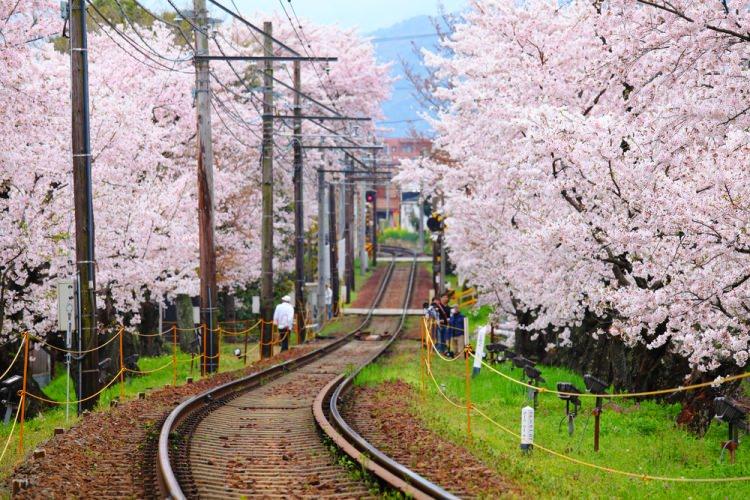 <p><strong>JAPONYA</strong></p>
<p>Ortalama yaşam süresinin 84.6 yıl olan Japonya, bu listede<strong> dünyanın en sağlıklı ülkesi </strong>seçiliyor. </p>