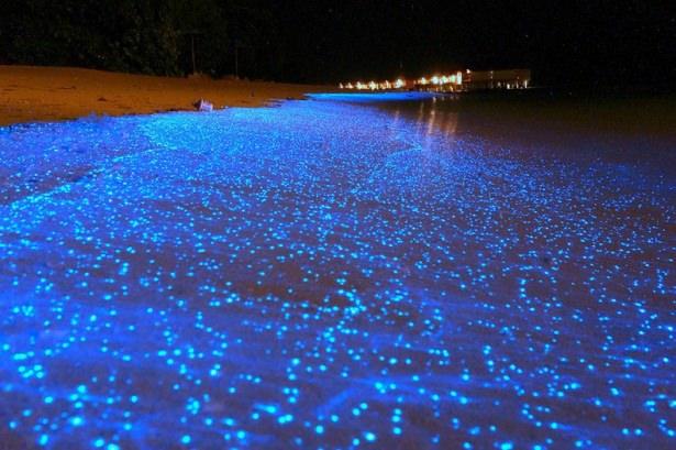 <p>Maldiv Plajları - Geceleri parıldayan bu plajın sırrı suyun içindeki minik organizmalarda.</p>
