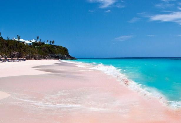 <div>Pembe Yosun Plajı, Bahamalar</div>

<div> </div>
