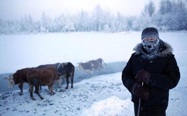 <p>Rusya'nın Kuzey Kutbu'na en yakın köyü Oymyakon, adını konumuna oranla sıcak sularından alıyor. Rusça'da "Donmayan Su" anlamına gelen bölgeye 1930'lu yıllara kadar geyik sürülerinin su ihtiyaçlarını karşılamak için indiği biliniyor.</p>