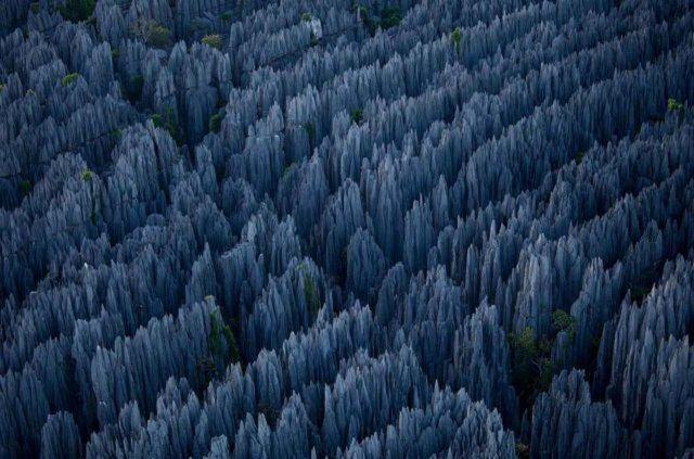 <p>Taş Ormanı, Madagaskar</p>
