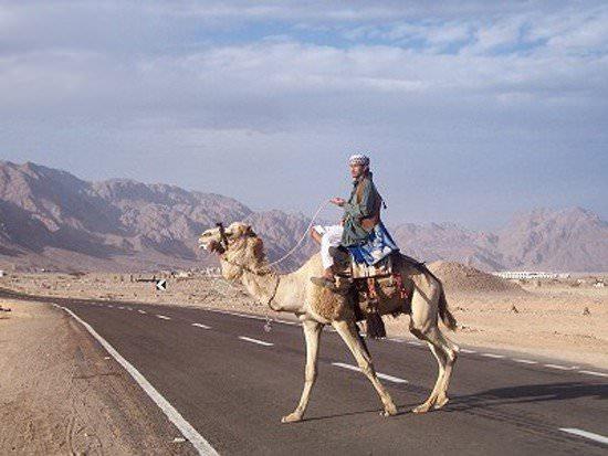 <p><strong>Luksor-El Hurhada Yolu</strong><br />
Mısır’ın iki turizm merkezini, Luksor’u El Hurhada’ya bağlayan yol dünyanın en tehlikeli yollarından biri.</p>