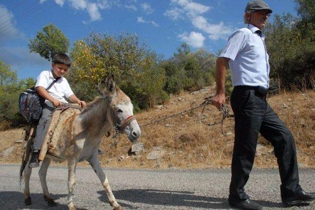 <p>MUĞLA</p>

<p> </p>
