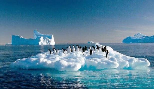 <p><strong>1- AŞIRI İKLİM DEĞİŞİKLİĞİ:</strong> İklim değişikliği en &ccedil;ok fakir &uuml;lkeleri vuruyor. Yaygın a&ccedil;lık b&uuml;y&uuml;k g&ouml;&ccedil;lere ve d&uuml;nyada savaşlara yol a&ccedil;abilir.</p>
