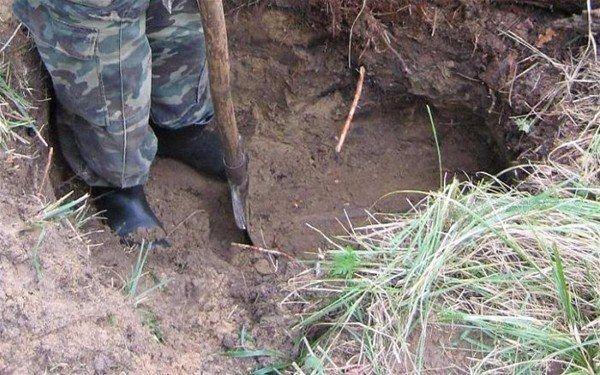 <p>Rusya'da 2.Dünya Savaşı'na ait bir valiz bulundu. İçinden çıkanlar ise herkesi şaşırttı...</p>