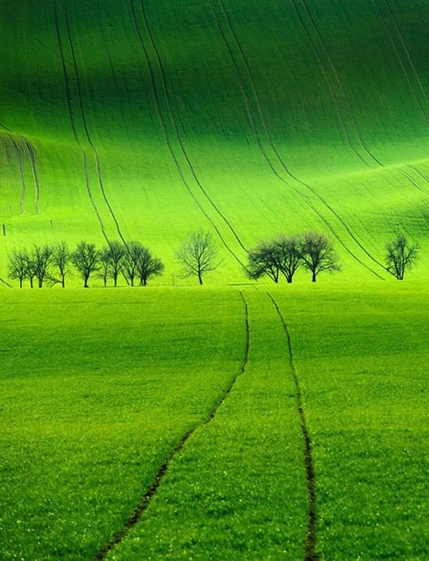 <p>Son d&ouml;nemde fotoğraf&ccedil;ılar arasında da hayli pop&uuml;ler olan b&ouml;lge, Conde Nast Traveller Dergisi tarafından D&uuml;nya'daki en g&uuml;zel 50 yerden biri g&ouml;sterildi.</p>

<p>&nbsp;</p>
