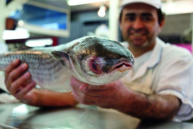 <p>Brezilya: 85.3 kg</p>

<p> </p>
