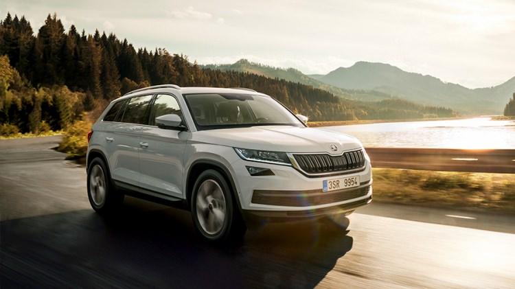 <p>Skoda Kodiaq</p>
