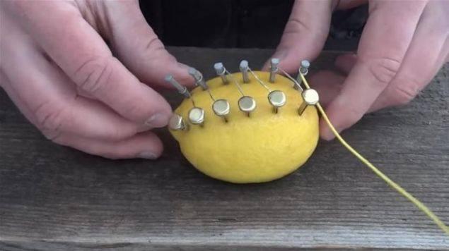 <p>Bunu yaparken da limonun yaklaşık 5 voltluk elektrik üretmesini gerektiğini söylüyor.</p>