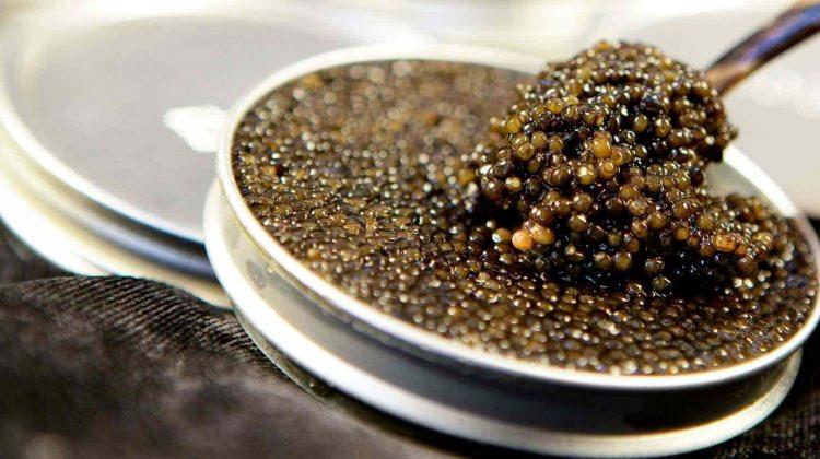 <p>Beluga balığının yumurtasından elde edilen Elmas Havyarı`nın yarım kilosu 8400 dolar ile 15 bin 500 dolar arasında değişiyor.</p>