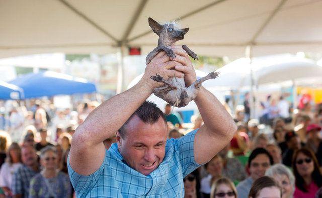 <p>Köpeğin sahibi Jason Wurtz, yarışmadan kazandığı bin 500 dolar (4 bin 400 TL) ödülü, SweePee Rambo’nun dişetindeki tümörün temizlenmesi için kullanacağını söyledi</p>

<p> </p>
