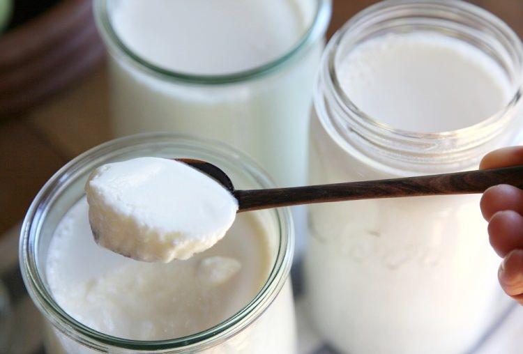 <p>Yoğurt yaparken her 1 litre için bir tatlı kaşığı dolusu maya kullanmak gerekir. Kullanılan maya yani yoğurt ev yoğurdu ya da organik yoğurt olmalıdır.</p>