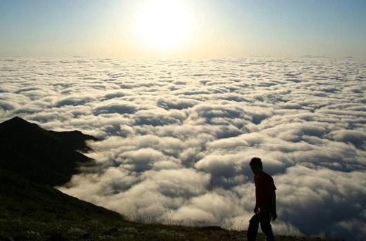 <p>Rize</p>
