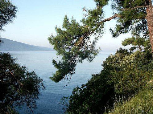 <p>Akyaka</p>
