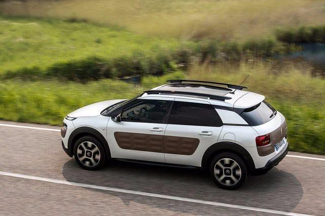 <p>C4 CACTUS</p>

<p> </p>
