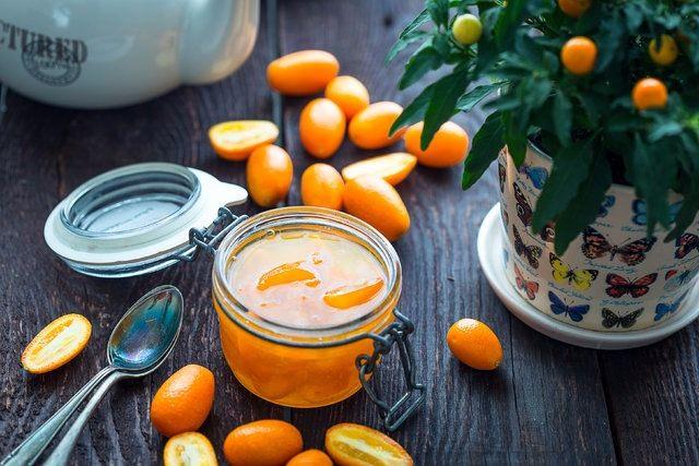 <p>Kumkuat, tüm turunçgiller gibi bir C vitamini deposu. Bu sayede bağışıklık sistemini güçlendiriyor</p>

<p> </p>
