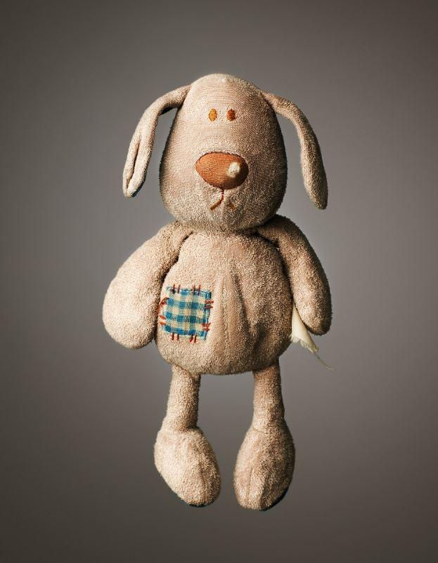 <p>Bunny<br />
<br />
Yaş: 9</p>
