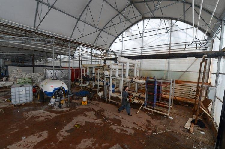 <p>Serada çalışmayı daha çok kadınların tercih ettiğini anlatan Tamçınar, "Burada çalışarak iş hayalim gerçekleşmiş oldu. Kazandığım parayla iki kardeşimin eğitim masraflarını karşılıyorum. Burada çalışan birçok genç kız, çeyizi için birikim yapıyor. O nedenle bu proje bizim için çok iyi oldu." dedi.</p>
