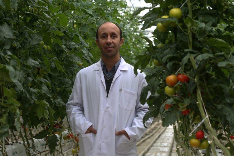 <p>Taşkın, seralarda 30'u kadın olmak üzere 50 kişinin istihdam edildiğini dile getirerek, projenin ilçedeki birçok vatandaş için ekmek kapısı olduğunu kaydetti.</p>

<p> </p>
