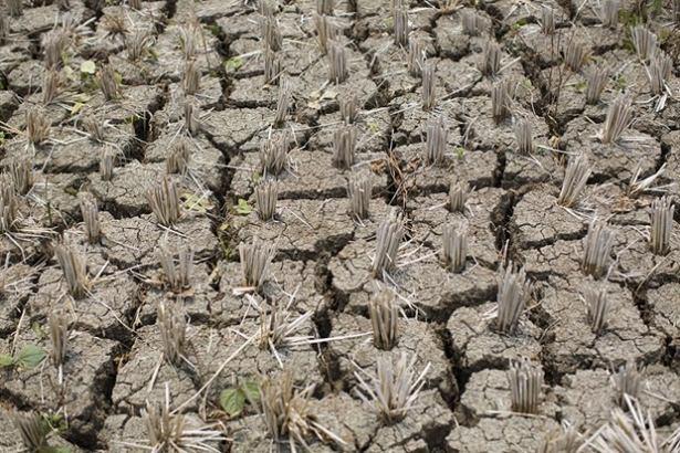 <p>Birleşmiş Milletler Çocuklara Yardım Fonu (UNICEF), El Nino'nun Afrika'nın doğusunda ve güneyinde milyonlarca kişiyi tehdit ettiği uyarısında bulundu.<br />
<br />
<br />
</p>