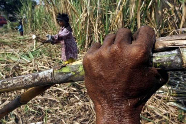 <p>Zimbabve'de ise gıda yardımına ihtiyaç duyanların sayısının, ocak ayında kurak mevsimin başlamasıyla 1,5 milyona yükselmesi bekleniyor.<br />
<br />
</p>