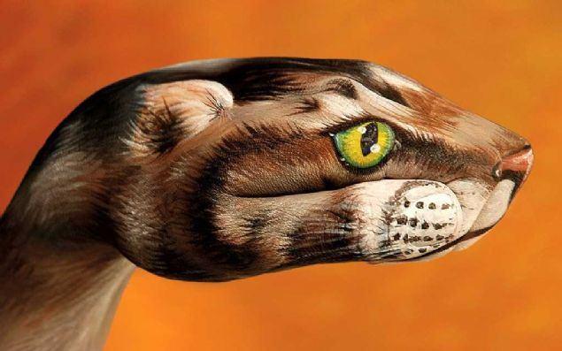 <p>İtalyan sanatçı Guido Daniele elleriyle hayvan figürleri resmediyor.</p>
