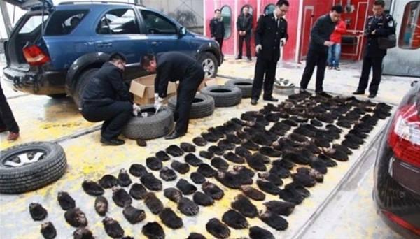 <p>Lastik taşıdığını iddia eden kamyon şoförü, ne yaptıysa polisleri ikna edemedi.<br />
</p>