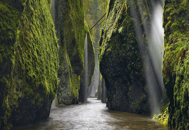 <p><strong>11. Columbia Nehri, Oregon</strong></p>

<p>Kanyondaki ışık huzmeleri bu güne kadar gördüğün en şaşırtıcı şeydi ve bu yükselen kayalıkların arasında olmak gerçekten inanılmaz bir duyguydu. Bu kadar su ve nemin içinde bu harika pozu yakalamak için bekledim ve bir anlığına güneş ışınları içeri girdiğinde deklanşöre bastım.( Peter Lik/National Geographic Traveler Fotoğraf Yarışması)</p>
