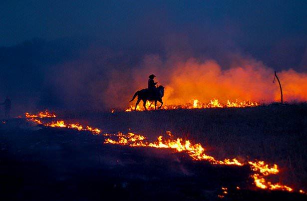 <p><strong>24. Kovboy Josh Hoy alevlerin arasında...</strong></p>

<p>Kovboy Josh Hoy, Flying W Çiftliği'nde anız yangınını kontrol etmeye çalışıyor. Flint Hills, Kansas.  (Linda Misenheimer/National Geographic Traveler Fotoğraf Yarışması)</p>
