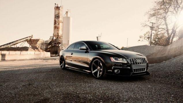 <p>Audi</p>
