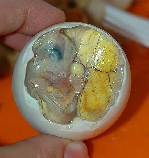 <p>BALUT<br />
<br />
Balut, döllenmiş ördek yumurtasından yapılan ilginç bir yemek. Yani içerisinde canlı bir ördek yavrusunun bulunduğu yumurtalar kaynatılıyor ve servis ediliyor. 17 günlük yumurtadan hazırlanan bu yemek Filipinler'i ziyaret ettiğinizde karşınıza çıkabilir.</p>
