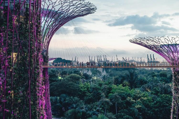 <p><strong>Singapur</strong></p>

<p> </p>
