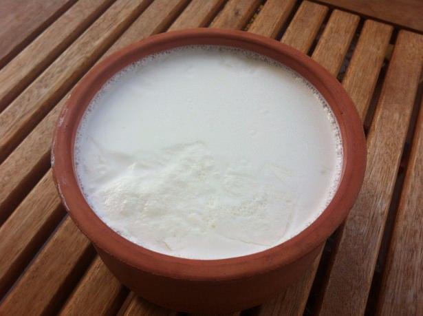 <p>Probiyotik bakteri içeren yoğurt veya kefir gibi içecekler veya bunların toz formu kullanılabilir. </p>