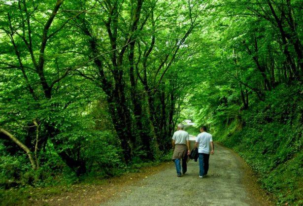 <p>Bunun dışında iftar sonrası yürüyüşler yapmak da bağırsak hareketlerini düzenler.</p>