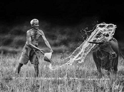 <p>Teknolojinin iyiden iyiye hayatımızın i&ccedil;ine girmesi, yoğun g&ouml;&ccedil;lerle birlikte şehirlerdeki kaos ortamının arttığı g&uuml;n&uuml;m&uuml;zde, hala 'doğal bir şey kaldı mı?'&nbsp; sorusuna cevap Endonezya'dan geldi.</p>
