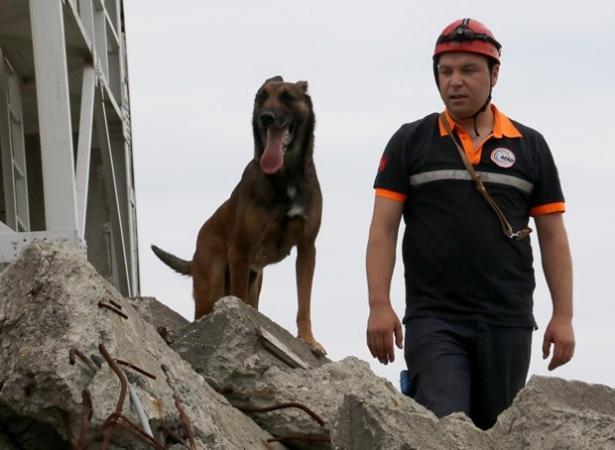 <p>SÜREKLİ EĞİTİM</p>

<p>'Sintra', 'Mali', 'Chichi' adlarındaki köpeklerin eğitimi ve bakımı 4 kişilik ekip tarafından yapılıyor. Ekip içinde bir de veteriner hekim bulunuyor. Arama- kurtarma teknisyeni ve köpek eğitmeni Kemal Kabakoğlu, 3 köpeğin eğitiminin sürekli olduğunu belirterek şöyle konuştu:</p>
