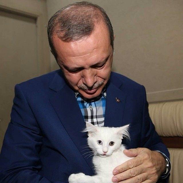 <p><em><strong><a href="http://video.haber7.com/video-galeri/62559-cumhurbaskani-erdogandan-taksi-duragina-ziyaret">​HABERİN VİDEOSUNU İZLEMEK İÇİN TIKLAYINIZ...</a></strong></em></p>
