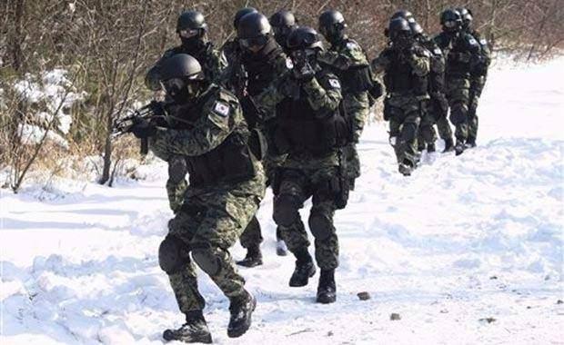 <p>Irak'ta rehine kurtarma, Bosna'da Sırp keskin nişancıları avlama gibi bir çok operasyona katılmışlardır. 600 personele sahiptir.</p>